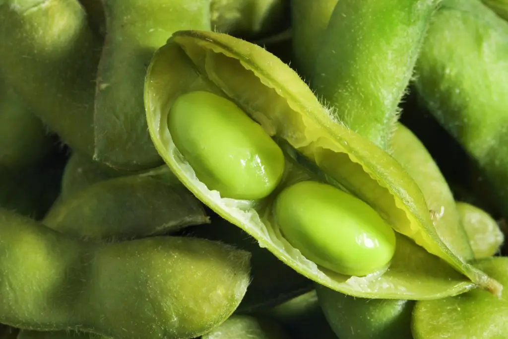 Dangers Of Soy