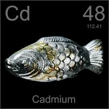 Heavy Metal Toxicity: The Silent Threat Lurking in Your Daily Life Unknown-1