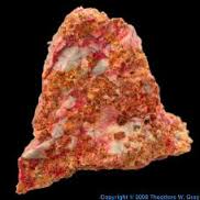 Heavy Metal Toxicity: The Silent Threat Lurking in Your Daily Life Unknown