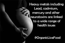 Heavy Metal Toxicity: The Silent Threat Lurking in Your Daily Life images-1