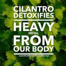 Heavy Metal Toxicity: The Silent Threat Lurking in Your Daily Life images-2
