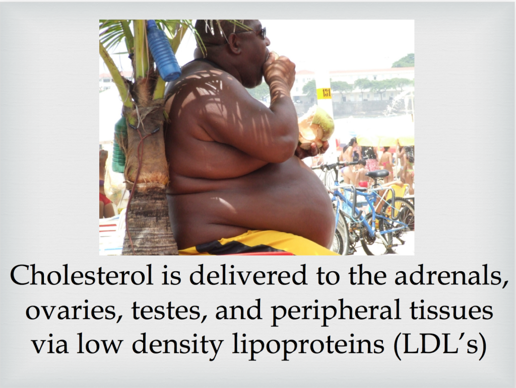 Cholesterol Lies and Truths Screen Shot 2015-11-08 at 6.31.58 PM