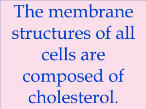 Cholesterol Lies and Truths Screen Shot 2015-11-08 at 6.37.42 PM