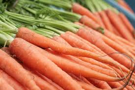 The Dangers of Vegan and Vegetarian Diets Vegetarian Diets