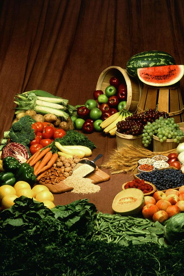 Micro biome / Meal Suggestions / Allergies / Immunoglobins 1cd6182bb30f4d7d831fa0c9458c8233