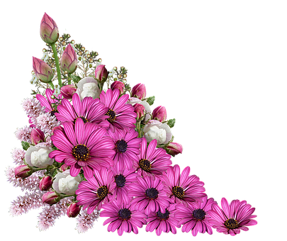 Flowers flowers-1574900__340
