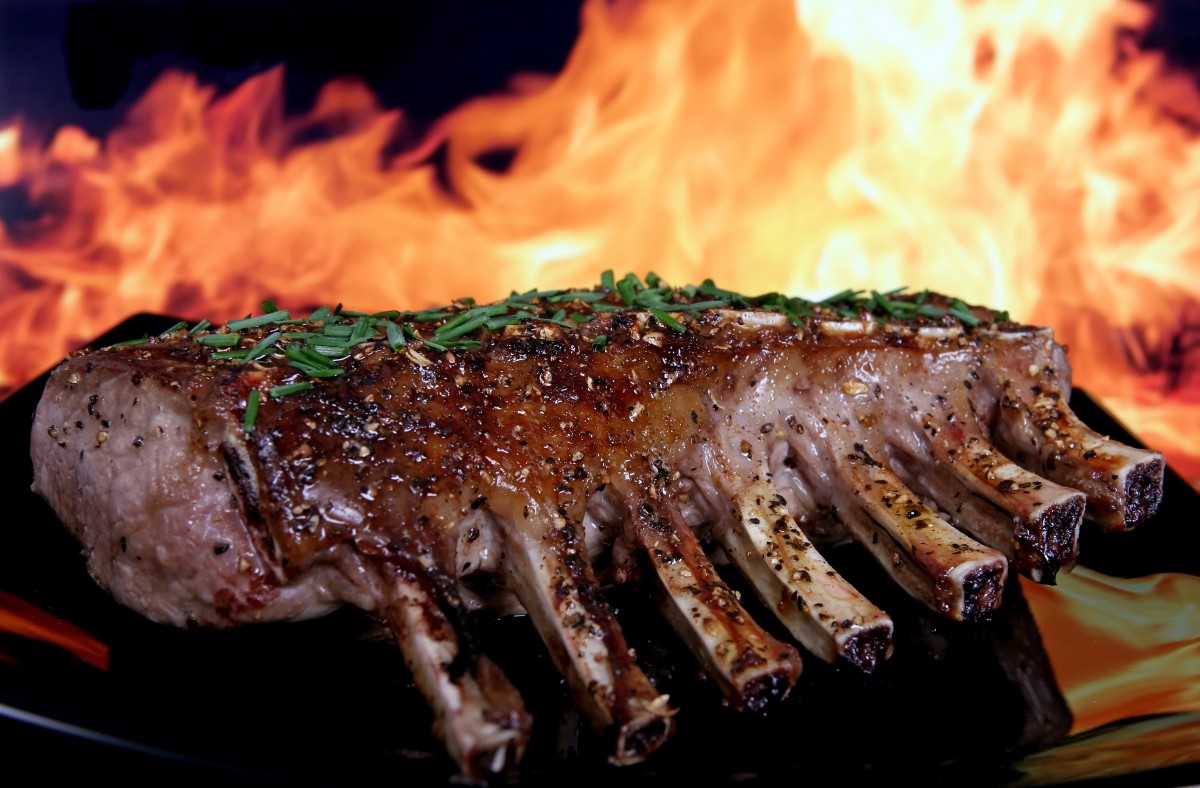 San Rafael Chiropractor Dr. Ilya Skolnikoff Discusses Fat-Burning vs. Sugar Burning abstract american background barbecue barbeque bbq beauty beef 819785.jpgd