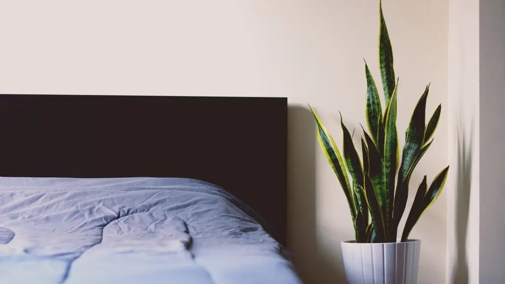 Mattress
