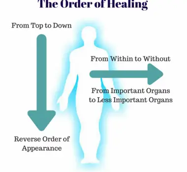 Gut Health & Digestion marin county functional medicine doctor discusses detoxification signs and symptom