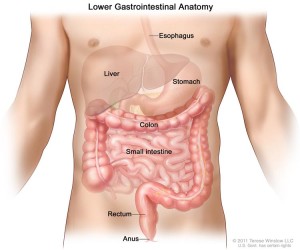 DO YOU HAVE A HEALTHY THYROID GLAND? CDR415499-7501