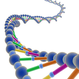 Contract Diseases DNA-database1