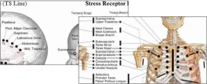 Your Personal Guru to Health and Well-Being TS-Line