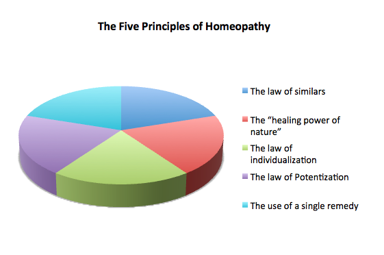 San Rafael Functional Medicine Doctor Discusses Detoxification Signs and Symptoms Principles of Homeopathy