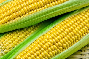 creamed corn casserole[1]