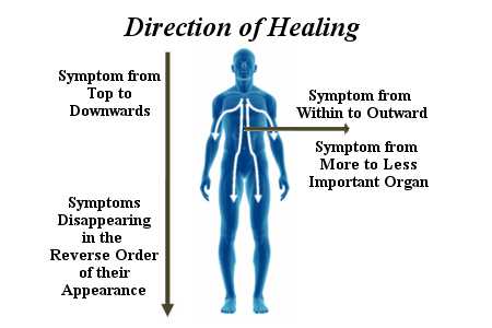 San Rafael Functional Medicine Doctor Discusses Detoxification Signs and Symptoms Detoxification Signs and Symptoms