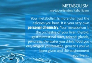 SWEET DECEPTION – THE ASTONISHING TRUTH ABOUT SUGAR. metabolism_1024x768_1_b5747511