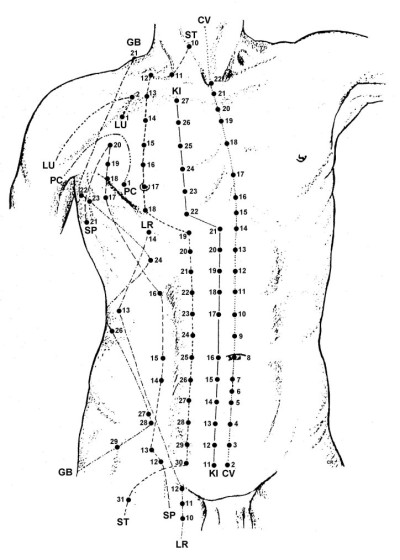 torso[1]