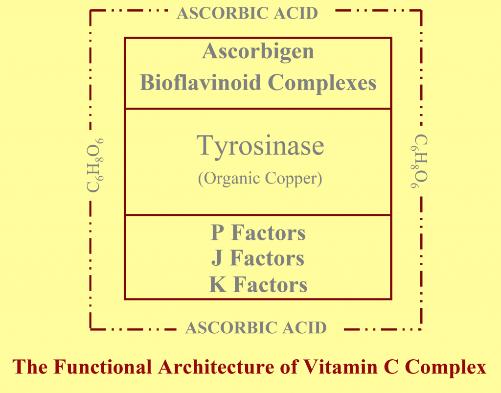 The Shocking Truth About Gluten That Has Been Kept a Secret From You Entire Vitamin C Complex