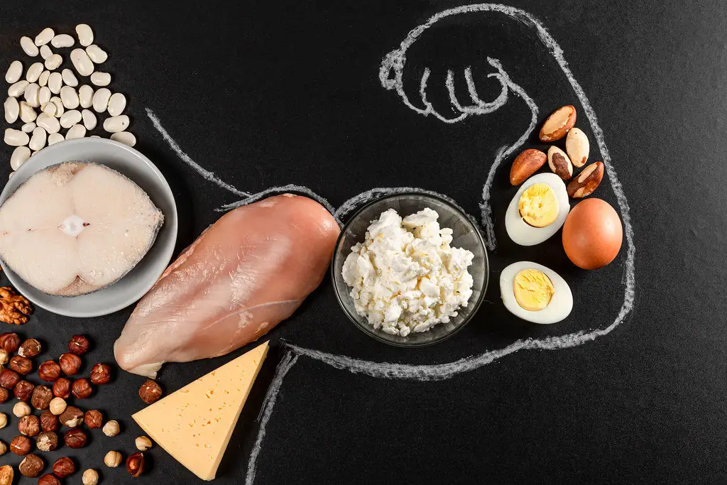 What Are the Real Reasons You Need More Protein in Your Diet? More Protein