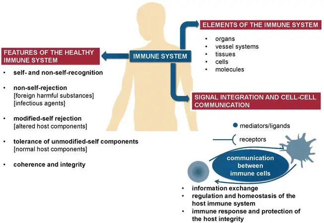 Is Your Autoimmune Disease a Result of Modern Environmental Stressors? F1.DOI .10.5772.67671