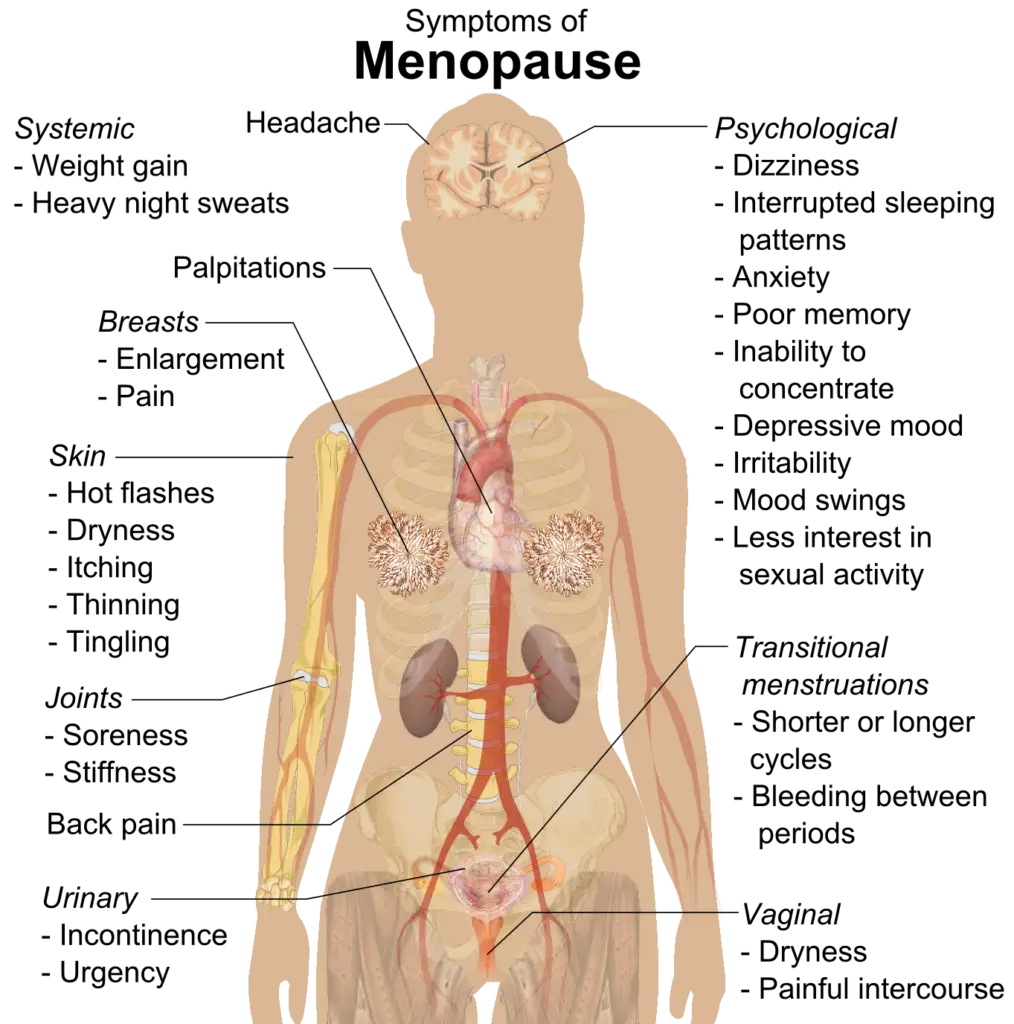 Symptoms of menopause raster