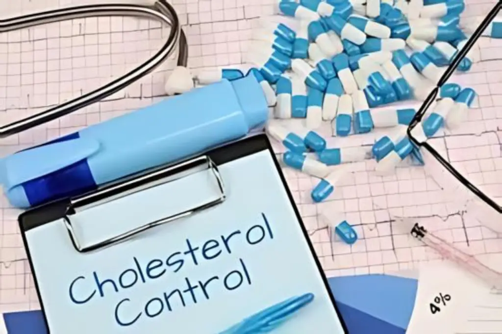 High, Low, or Balanced Cholesterol: What’s the Best for You? Balanced Cholesterol