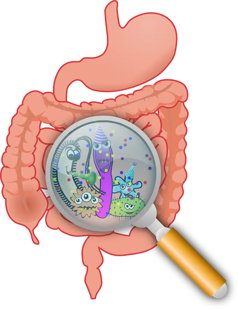 Tired of Indigestion? Uncover Top Tips for a Healthier Gut! Tired of Indigestion