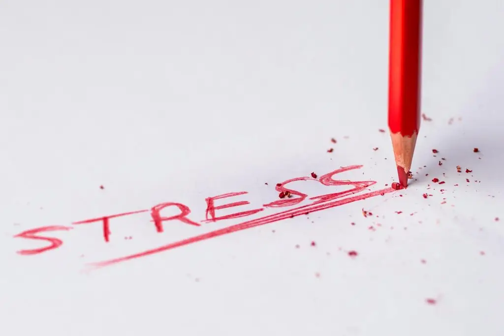 Are You in the Danger Zone of Stress Burnout? Triad of Chronic Stress