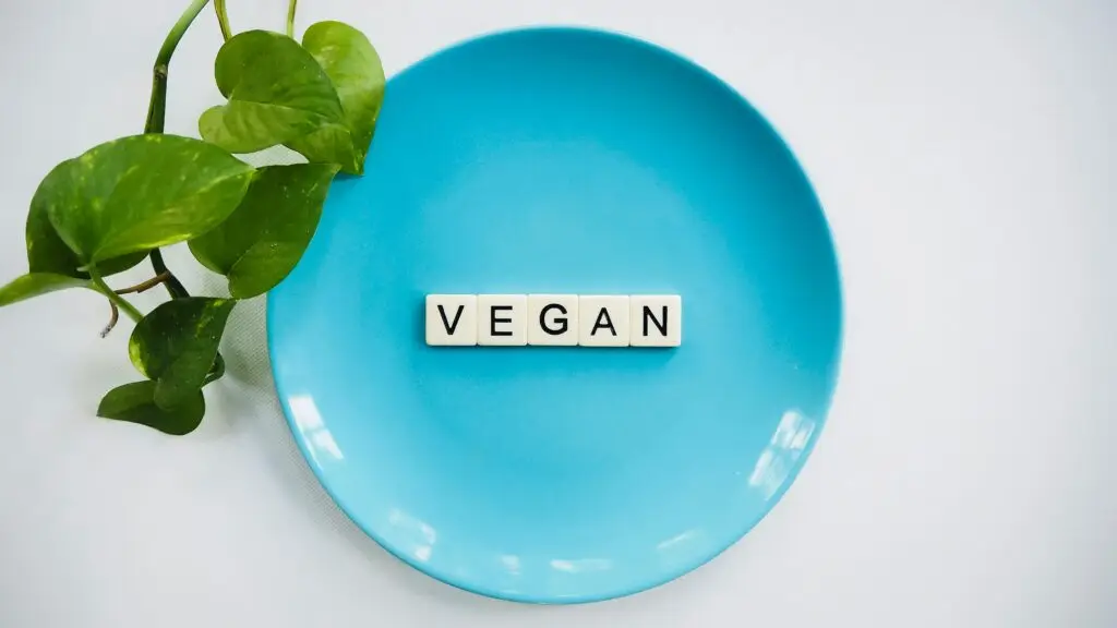 How Accurate Are the Claims About Vegetarianism and Health? Vegan