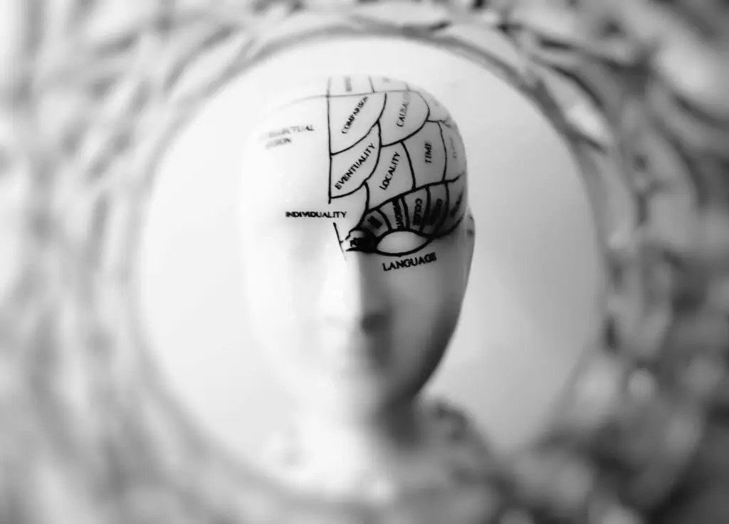 Could Your Food Allergies Be the Hidden Cause of Your Cognitive Struggles? pexels xespri 724994
