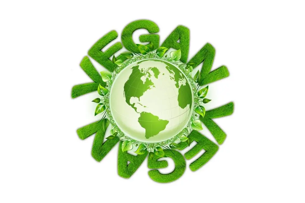 How Accurate Are the Claims About Vegetarianism and Health? Vegetarianism