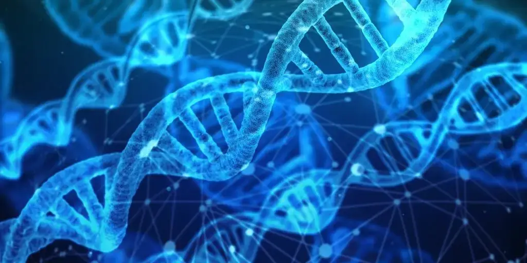 Are Your Health Problems Really Genetic? Discover the Hidden Factors Shaping Your Well-Being Health Problems Genetic