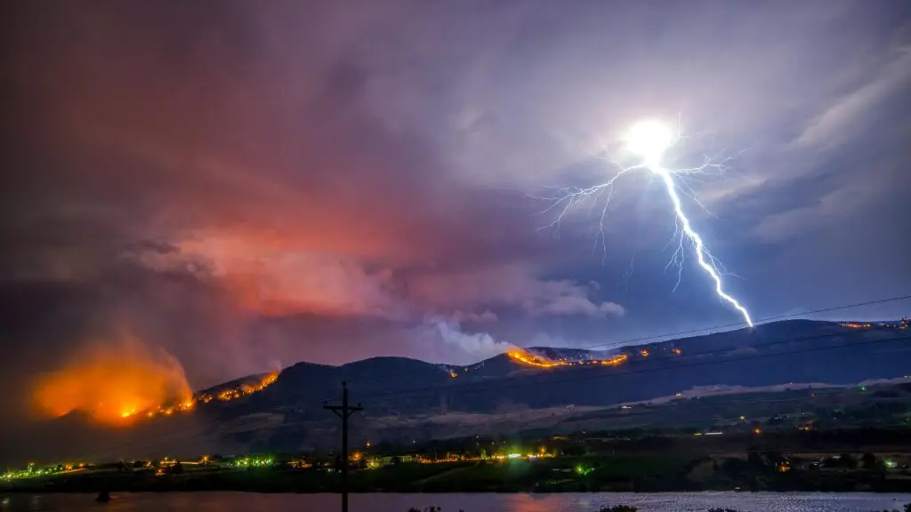 The Science of Stress Treatment: 5 Powerful Techniques for Immediate Relief pexels frank cone 140140 2308671
