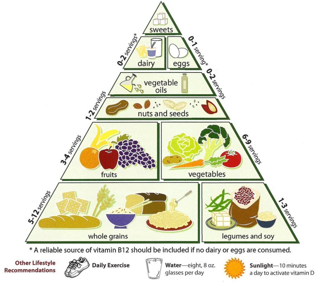 Belly Fat and Hormone Balancing Diet: Part 2 Belly Fat Hormone Balance