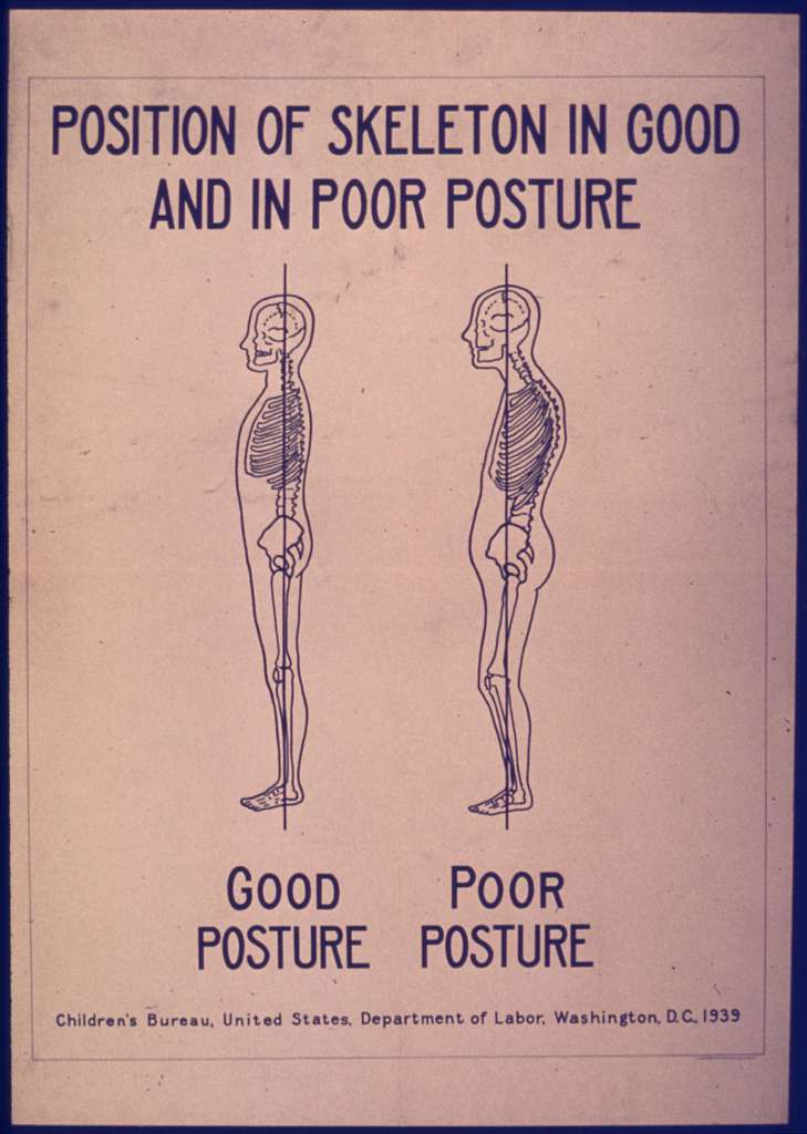 Belly Fat and Hormone Balancing Diet: Part 2 position of skeleton in good and poor posture nara 515194 34ac0f 1024