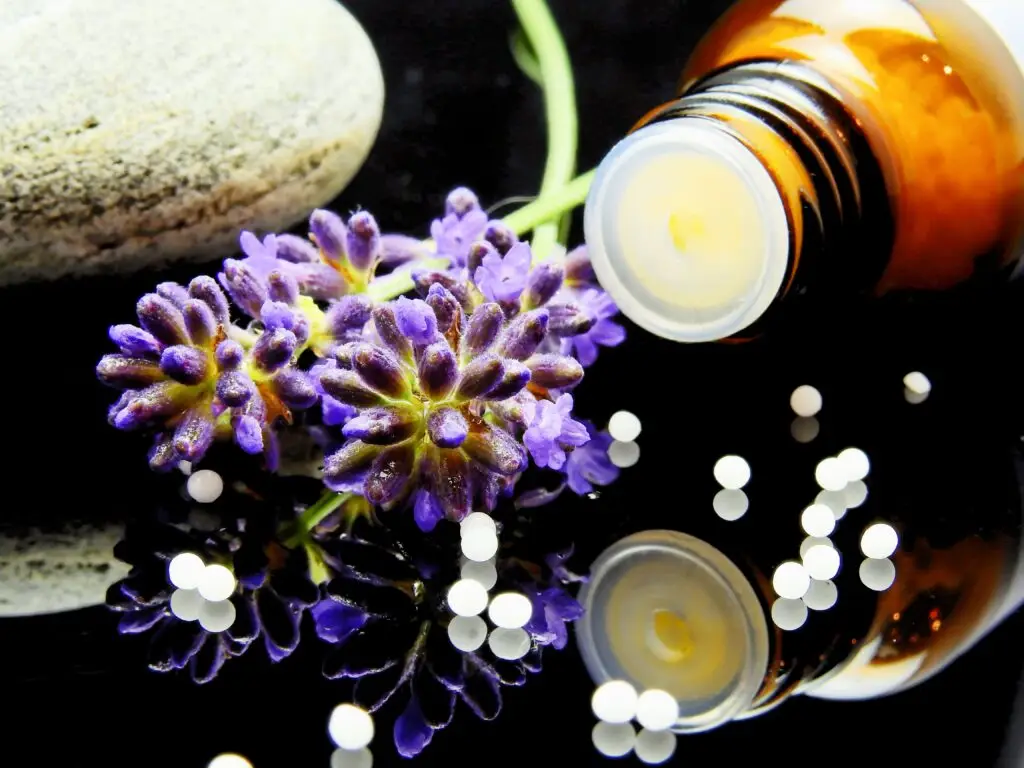 Wellness Care Herbal Remedies