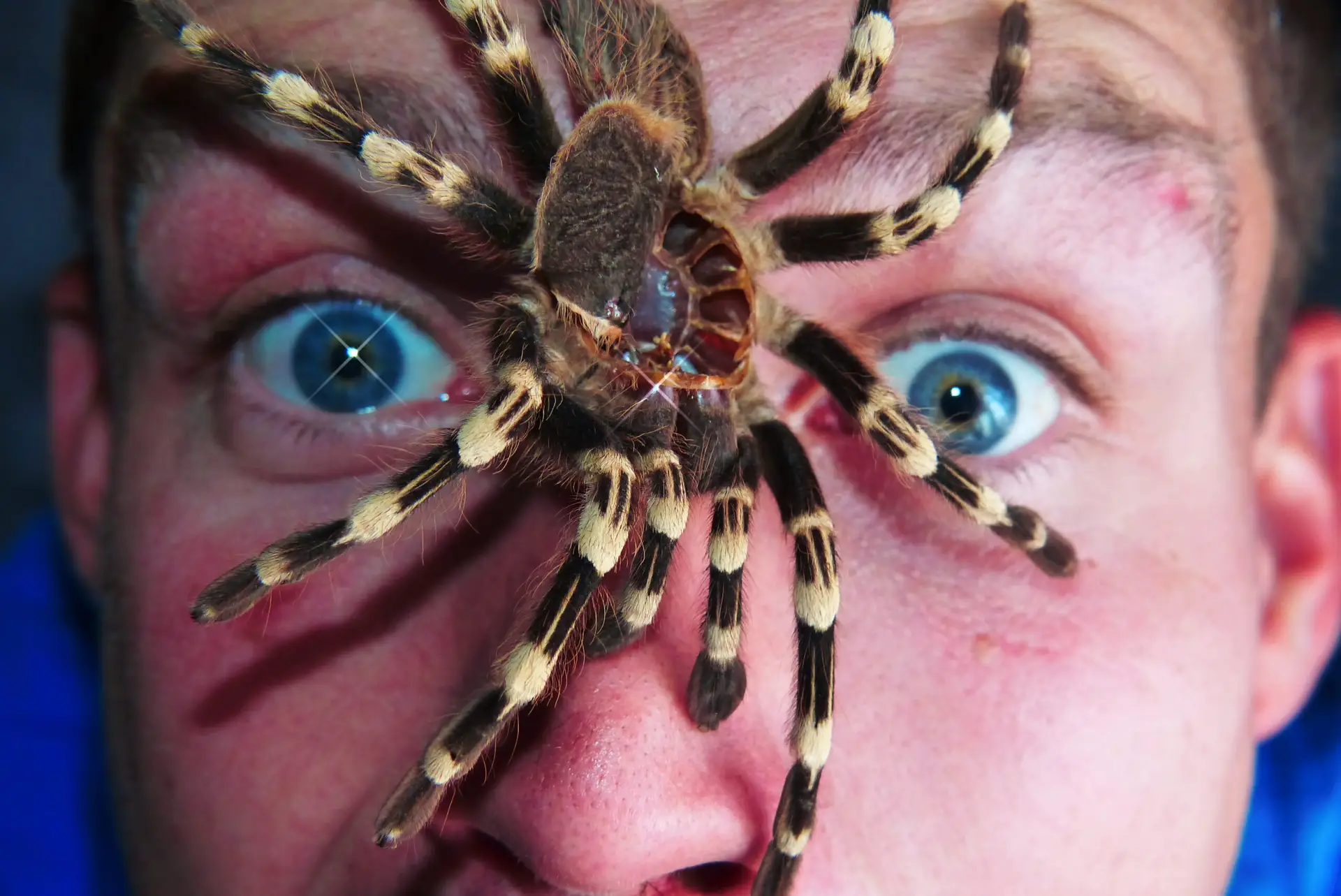 Emotional Healing & Stress Relief Phobia Solutions scaled