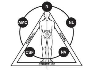 Emotional Healing & Stress Relief Professional Applied Kinesiology