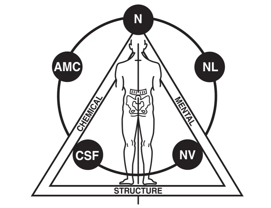 Professional Applied Kinesiology