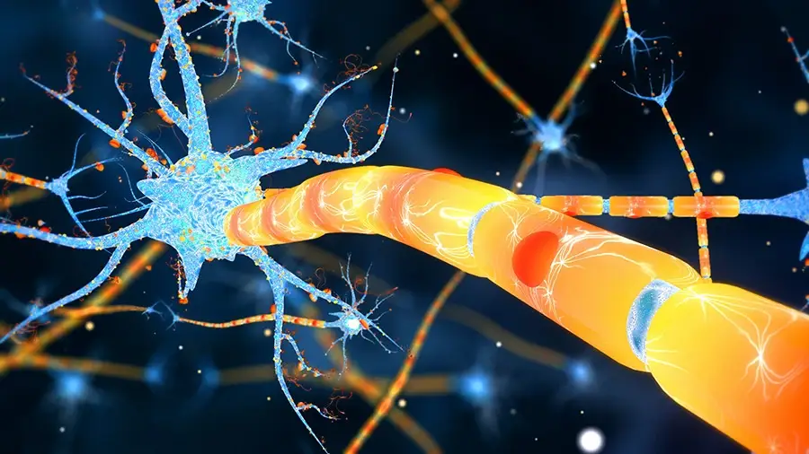 Wellness Care How Bioenergetics Can Transform Your Well-Being