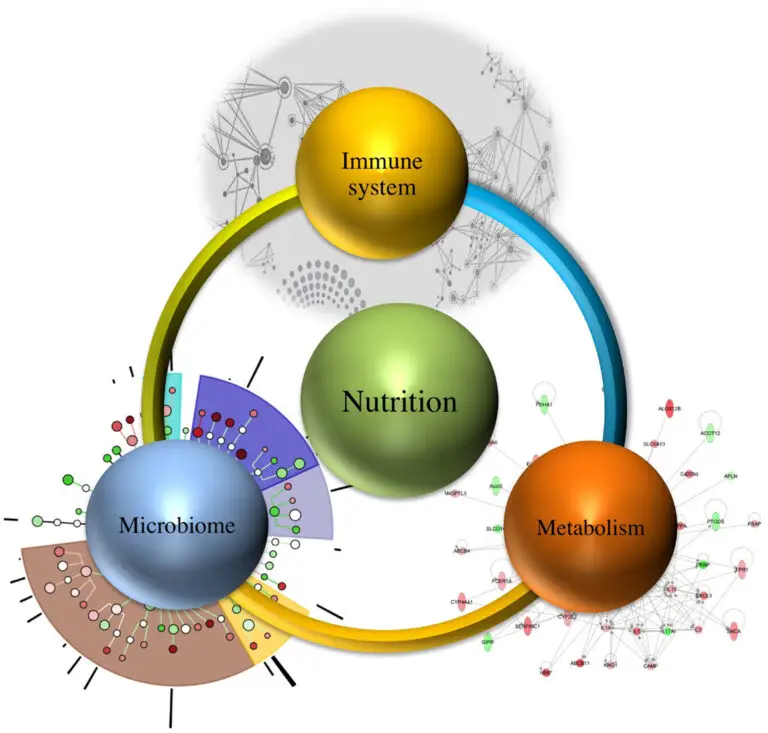 Autoimmune & Immune Support Gut and Immune
