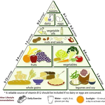 TERRIBLE DIET