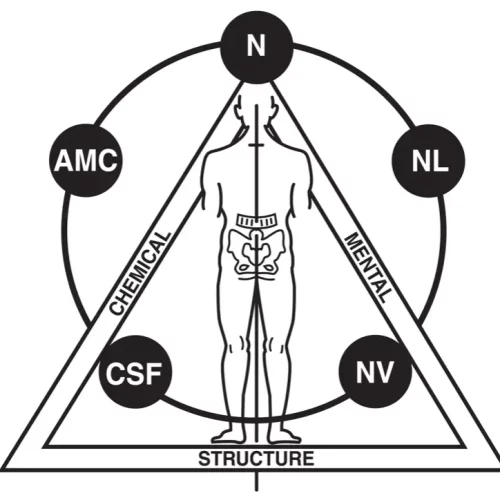 Professional Applied Kinesiology